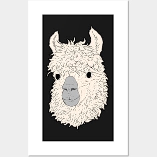 Smiling Llama Head white fur Hand Drawn Posters and Art